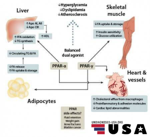 PPAR receptor agonists